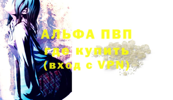 прущие грибы Алапаевск