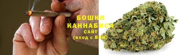 шишки Аксай