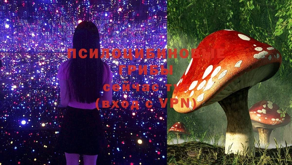 гидропоника Михайловка
